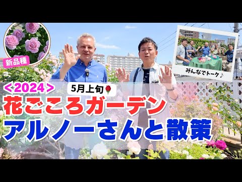 2024５月花ごころ屋上DELBARDのバラをご紹介