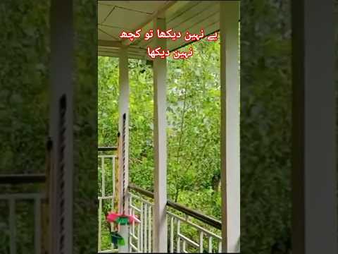 Kashmir #music #nature #relaxingmusic #viral #love #shorts #video #motivation #funny #jummah #jumma