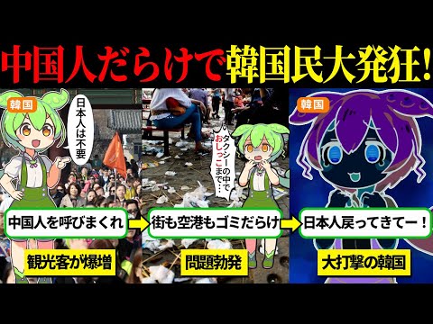 韓国から日本人観光客が消え、中国人で埋め尽くされ韓国人が大激怒→「日本人が来ないせいだ！」【ずんだもん＆ゆっくり解説】