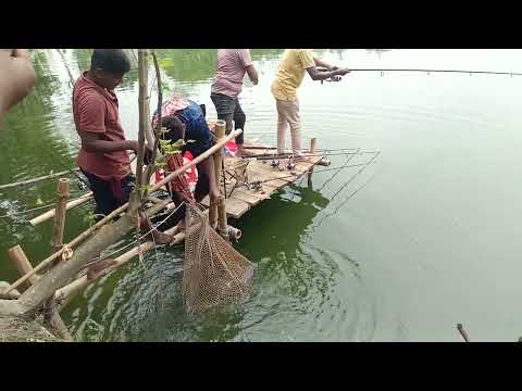 Amazing Fishing Video | Catching Catfish By Hook | Village Fishing in Beautiful Natural