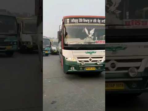 orbit aviation bathinda 🥀🥀 jalandhar to bathinda 🥀🥀 amazing bus shorts 🥀🥀 buses of bathinda 🥀🥀