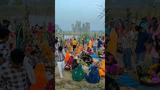 #Video #Chhath_Puja_2024 ❤️ #Ziddi_vivek #viralvideo #short