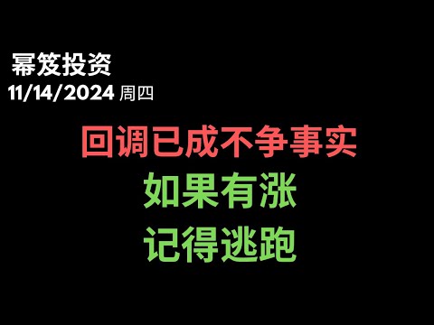 第1328期「幂笈投资」11/14/2024 大盘价格行为已经揭示：回调在所难免！｜ 如果有涨，记得跑掉！｜ moomoo