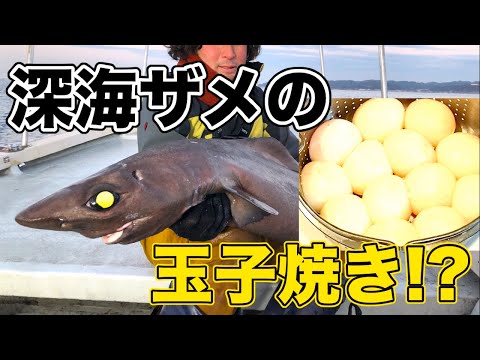 【サメ】深海鮫の卵で玉子焼きを作る【釣り】Make omelettes from eggs of shark caught at 500m depth!!