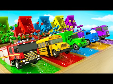 Bingo Song - Firetruck, school bus and magic soccer balls - Baby Nursery Rhymes & Kids Songs