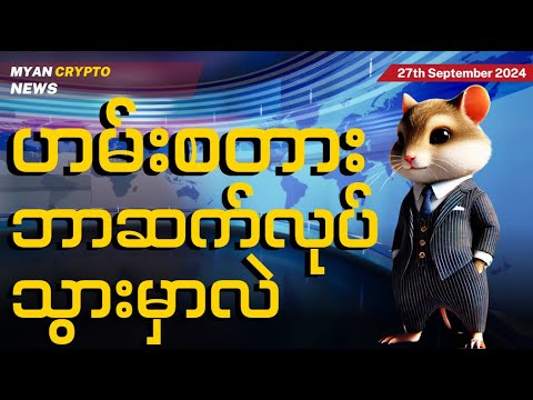 ဟမ်းစတား ဘာဆက်လုပ်သွားမှာလဲ? | MCM Daily News 27th September 2024