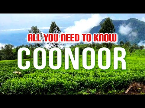 From Queen of hill station to land of Nilgiris|Ooty to Coonoor  toy train journey