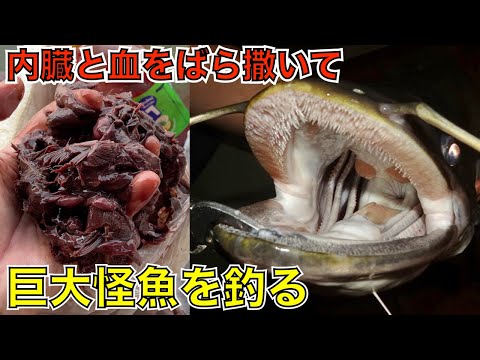 家の軒先から大量の臓物と血をぶら下げて口裂けナマズを釣る異文化(タイ王国 ワラゴ・アッツー)