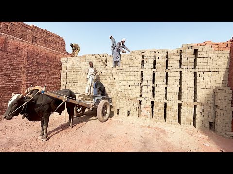 Mass Production Process Of Making Millions A Bricks || Manufacturing Of Bricks