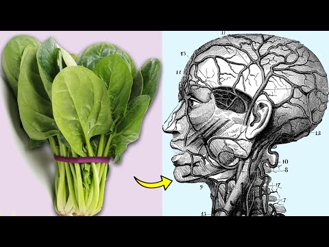 What Happens To Your Body When You Eat Spinach Every Day