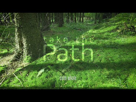 Take the PATH 🌳 Slow Shaman Drum Grounding Meditation * Deep Bass, Kalimba & Chakapa *