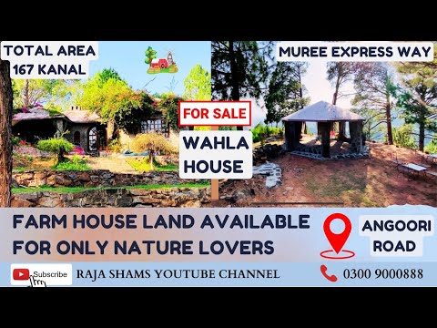 Farm House Land For Sale || Angoori Road || Hill View || Nature Lovers ||