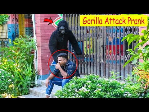 Gorilla Attack Prank || Scary Gorilla Prank on Public - Part 13 || 4 Minute Fun