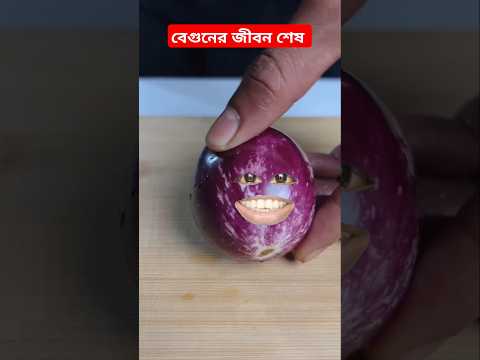 বেগুনের জীবন শেষ #food #stupidfamily #comedy #funny #shorts #viral