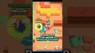 Rank 30 Willow Guide