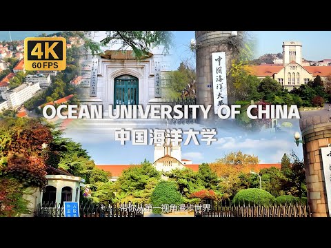 China- Ocean University of China Walking Tour | 沈浸式漫步在中國海洋大學 海洋和水產學科特色顯著的大學 [4K 60FPS]