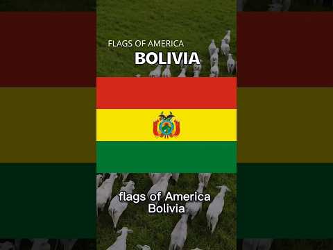 Flags of America: Bolivia 🇧🇴 #bolivia #america #flags #international #history #funfacts #geography