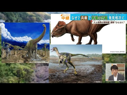 【新種恐竜が続々】丹波篠山、発見の秘密に迫る！