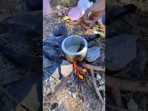 Mutton Recipe 🍗 | Outdoor Cooking | Forest Camping 🏕️ #camping #campinglife #solocamping #travel