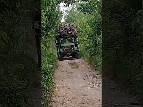 Biggest lorry #sugarcane #lorry