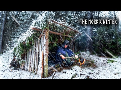 Extreme Winter Camping ALONE in the Freezing North (4 Survival Shelters)