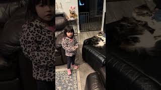 Toddler cuteness  talkin bout kitty 4.23.24 SUBSCRIBE FREE! Comments welcomed!