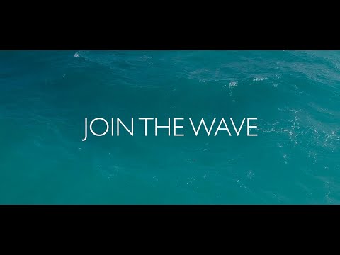 Join The Wave: Sea Turtle Hospital