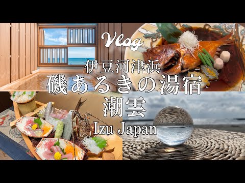 【1日7組限定 🇯🇵 伊豆河津浜潮雲Vlog】全室オーシャンビュー|大人の極上宿#伊豆旅行#伊豆観光#伊豆客室露天風呂#伊豆高級旅館#japantravel#hotspring#japantrip