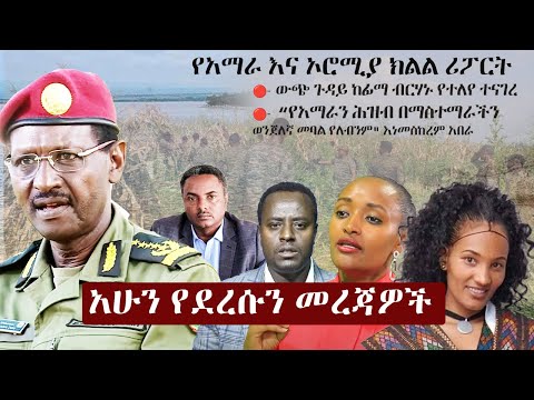 Ethiopia አሁን የደረሰን መረጃ | The Ethiopia News Now November 14, 2024 | The Ethiopia Channel