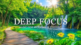 Deep Focus Music To Improve Concentration - 12 Hours of Ambient Study Music to Concentrate #786