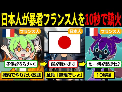 飛行機内で暴れるフランス人に弱々しい日本人が取った驚きの行動とは！？【ずんだもん＆ゆっくり解説】