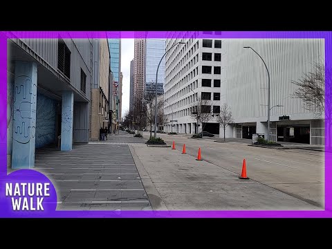 Experience the tranquil city of Downtown Houston (City Walk Visualizer)