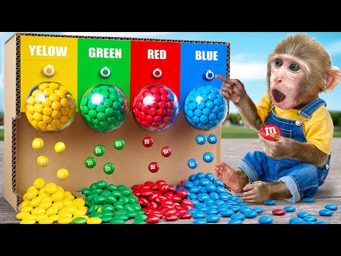 KiKi Monkey experience Incredible Four Elements M&M Candy Dispenser | KUDO ANIMAL KIKI