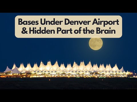 Bases Under Denver Airport & Hidden Part of the Brain