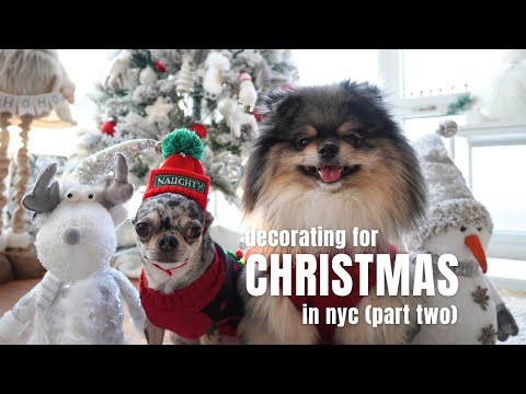 Christmas in NYC: Decorating our NYC Apartment with Our Dogs (Part Two) | Life in NYC