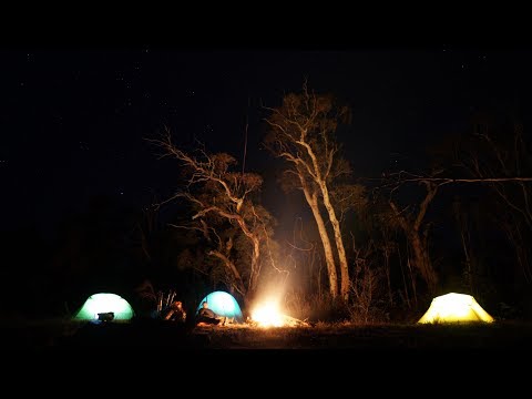 Backpacking for High Country Sambar