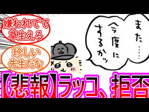 【ちいかわ】ラッコ先生がモモンガを拒否してしまう…に対する読者の反応集【ゆっくりまとめ】