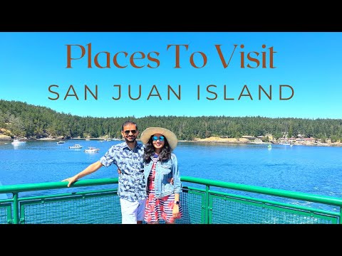 Top Places To Visit On San Juan Island | San Juan Island Ferry | Alpacas | Lavender Farm