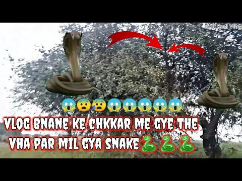 ye kya hua?😱😨😰Snake🐍!||berr ki zhadi me chupa snacke!! Best Real Vlog #myfirstvlog