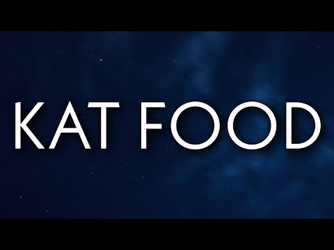 Lil Wayne - Kat Food (Lyrics)