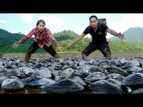 Harvesting oysters in the mud with her husband, cook with your children