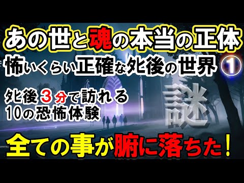 【2ch不思議体】怖いくらい正確な魂とあの世の本当の正体！もしも人生が全て計画されているとしたら？魂の選択の衝撃の真実【スレゆっくり解説】