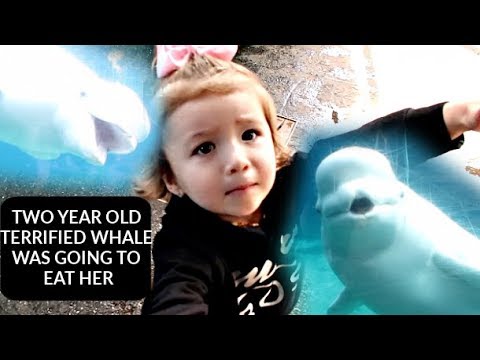 TWO Year Old TERRIFIED Of Whales 😢| Toddlers First Time Going To Aquarium