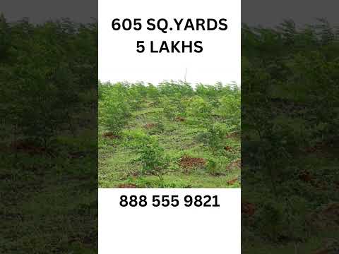 5Guntas 5Lakhs #realestate #hyderabad #hyderabadtelangana #telanganastate #svm #farmland #8885559821