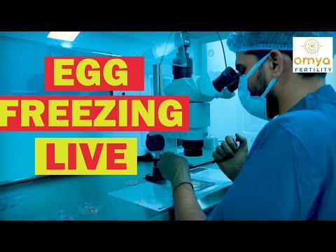 🔴Live Procedure Of Egg Freezing | Cryopreservation कैसे किया जाता है | OMYA Fertility (Delhi)