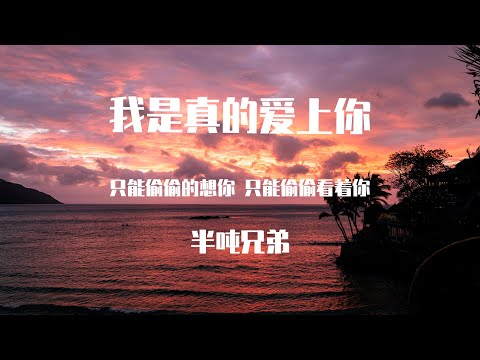 半吨兄弟 - 我是真的爱上你 （原唱：王杰 ）【動態歌詞】「只能偷偷爱上你  只能偷偷看着你 总是没勇气 总是说不出我是真的爱上你」♪Lyrics Video♪