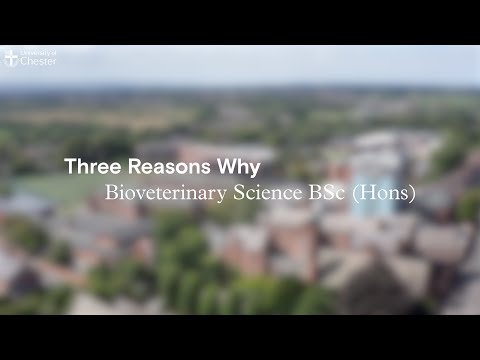 Three Reasons Why - Bioveterinary Science BSc