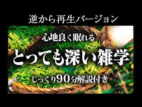 【逆から再生】良質睡眠の深い雑学【リラックス】とても深い雑学編♪