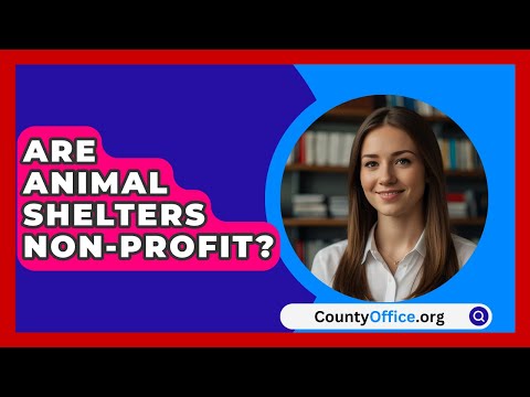 Are Animal Shelters Non-Profit? - CountyOffice.org