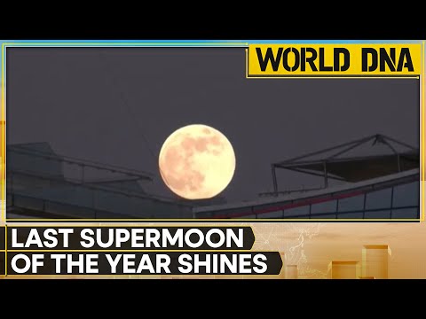 Beaver Supermoon: Last Supermoon Of The Year Shines | World DNA | WION